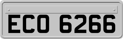 ECO6266