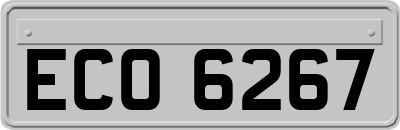 ECO6267