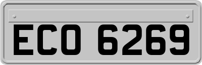 ECO6269