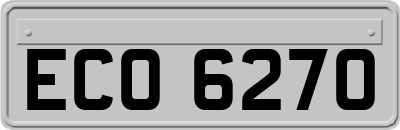 ECO6270