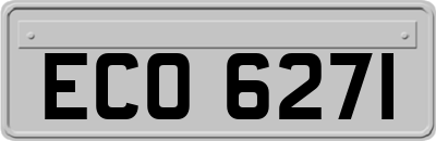 ECO6271