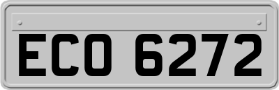 ECO6272