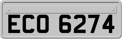 ECO6274