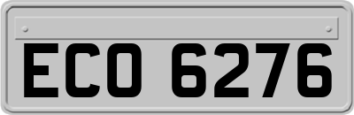 ECO6276