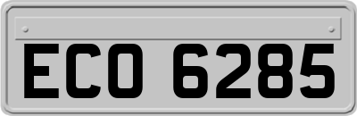 ECO6285