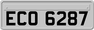 ECO6287