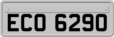 ECO6290