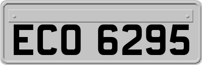 ECO6295