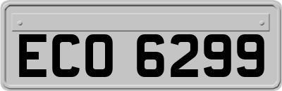 ECO6299