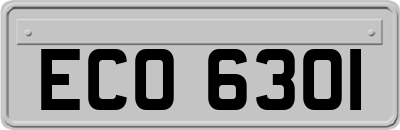 ECO6301
