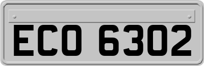 ECO6302