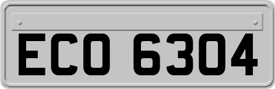 ECO6304