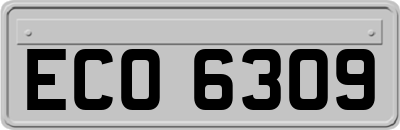 ECO6309