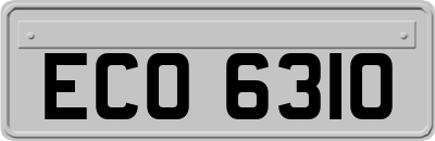 ECO6310