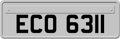 ECO6311