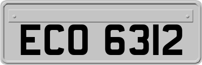 ECO6312