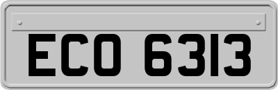 ECO6313