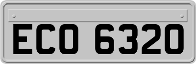 ECO6320