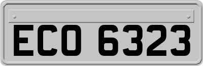 ECO6323