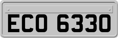 ECO6330