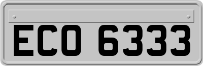 ECO6333