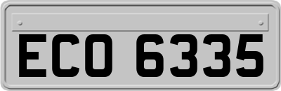 ECO6335