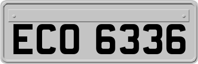 ECO6336
