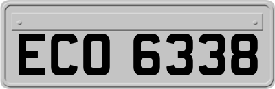ECO6338