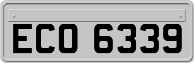 ECO6339