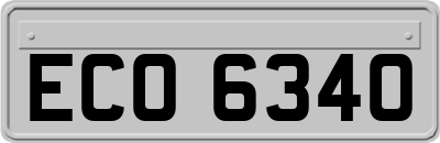ECO6340