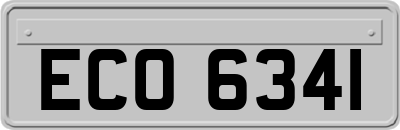ECO6341