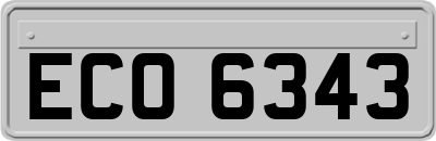 ECO6343