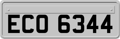 ECO6344