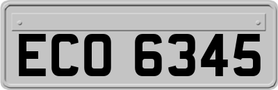 ECO6345