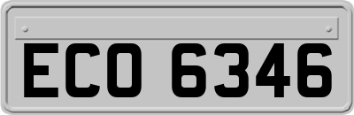 ECO6346
