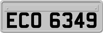 ECO6349