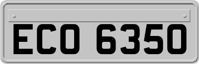 ECO6350