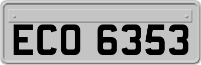 ECO6353