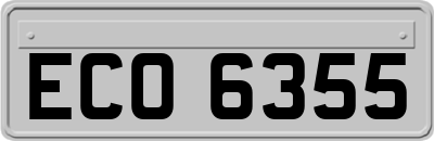 ECO6355