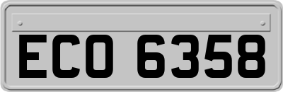ECO6358
