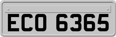 ECO6365