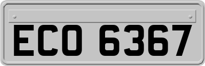 ECO6367
