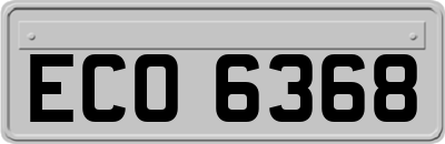 ECO6368