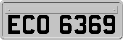 ECO6369
