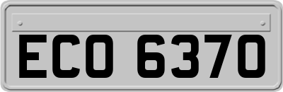 ECO6370