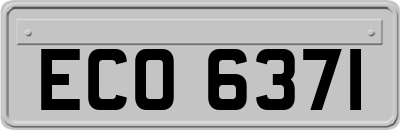 ECO6371