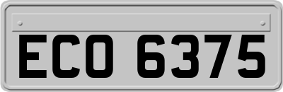 ECO6375