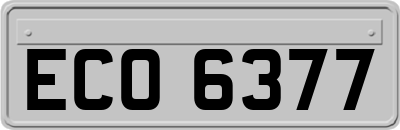 ECO6377