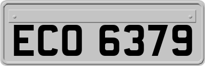 ECO6379