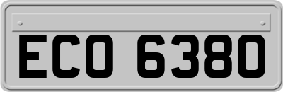 ECO6380